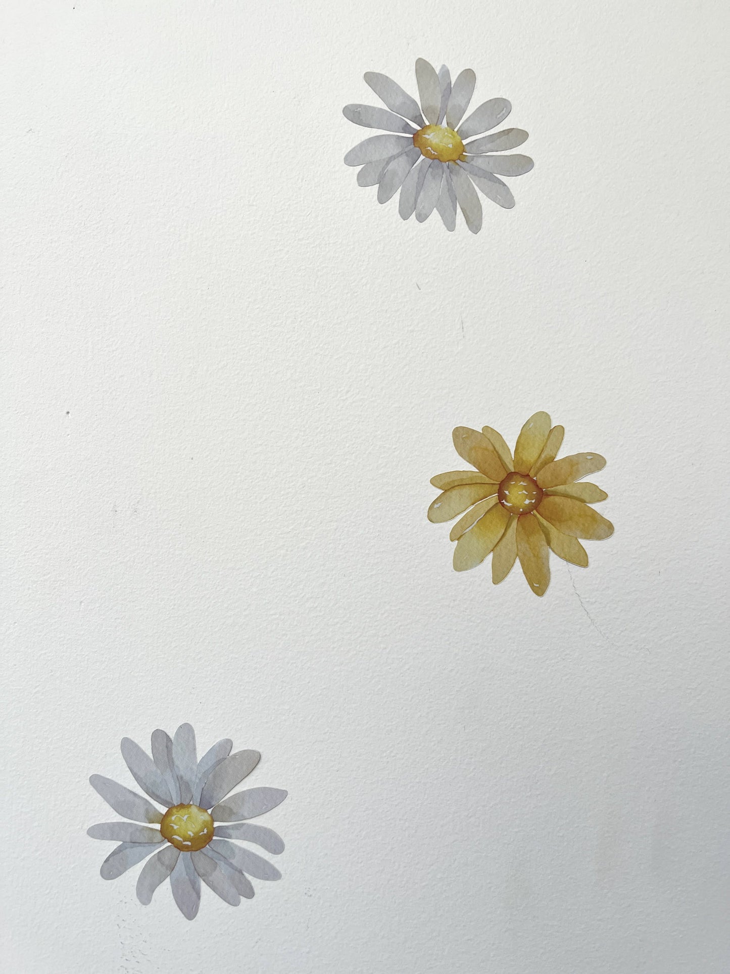 Daisy Watercolour Flower Wall Stickers